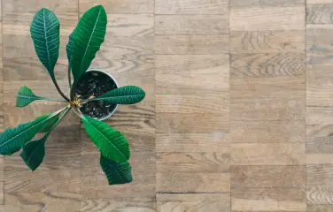 Eco-Friendly Tile Range Launched